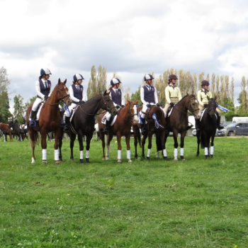 thumbnail Wellsford equestrian team-424